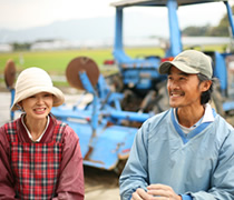 畳の和らぎや 「在来種しか作らない」我が道