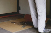 畳の和らぎや　「長田神社」