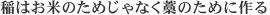 畳の和らぎや 稲はお米のためじゃなく藁のために作る