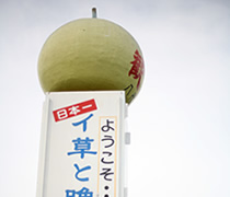 畳の和らぎや イグサの里へ